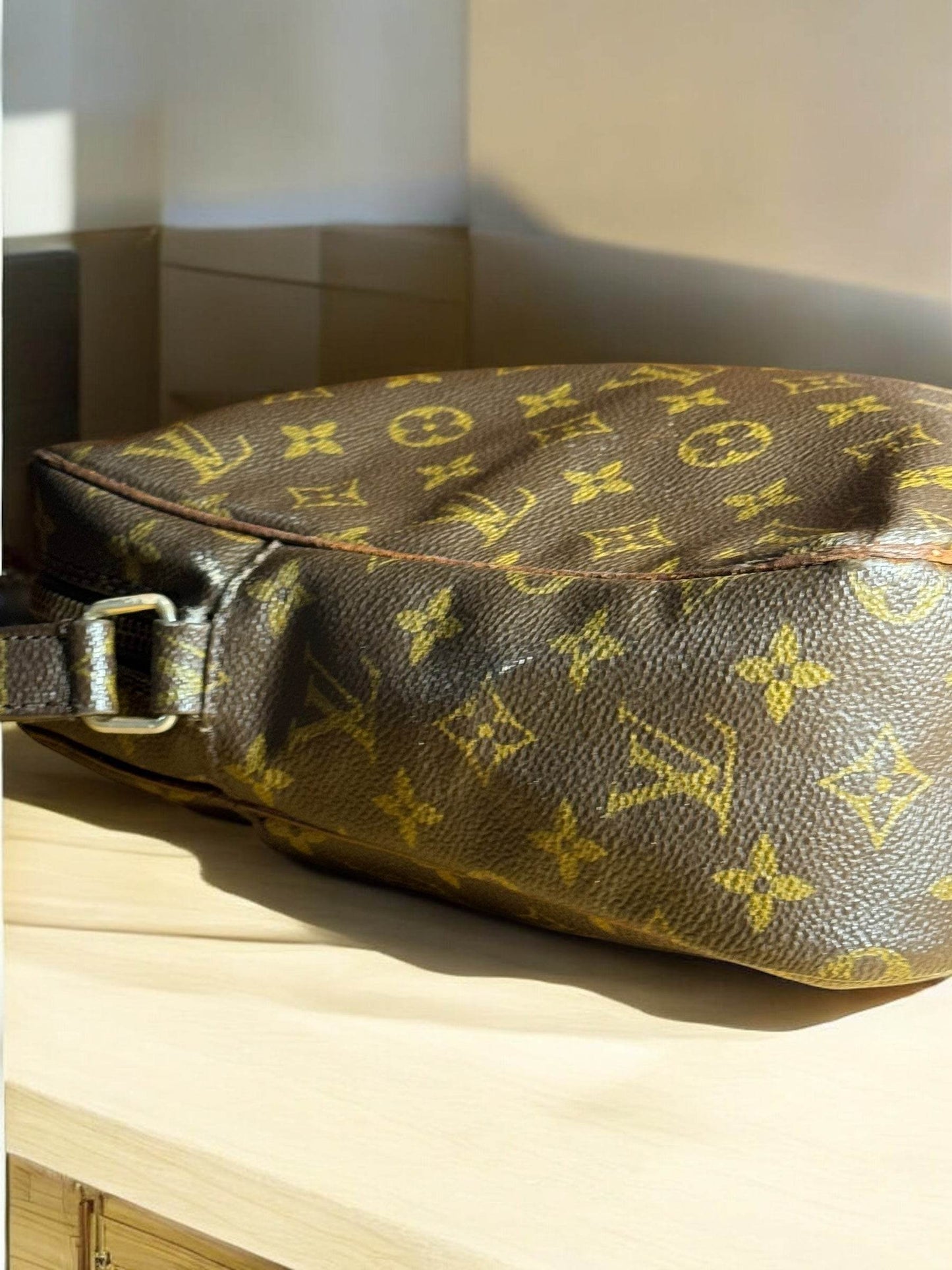 LOUIS VUITTON MONOGRAM DANUBE SHOULDER BAG M45266 AUTHENTIC - Luxbrandz
