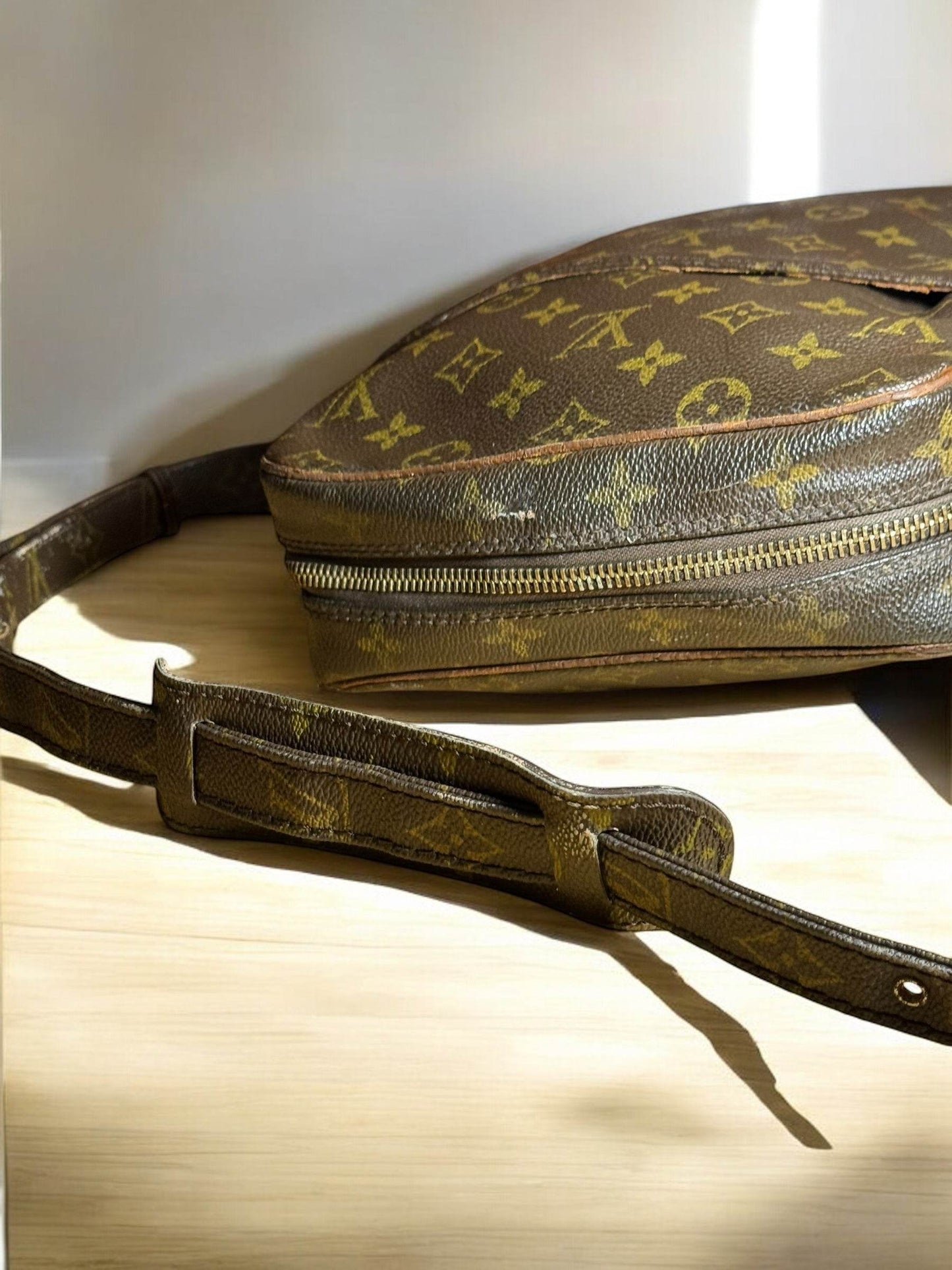 LOUIS VUITTON MONOGRAM DANUBE SHOULDER BAG M45266 AUTHENTIC - Luxbrandz