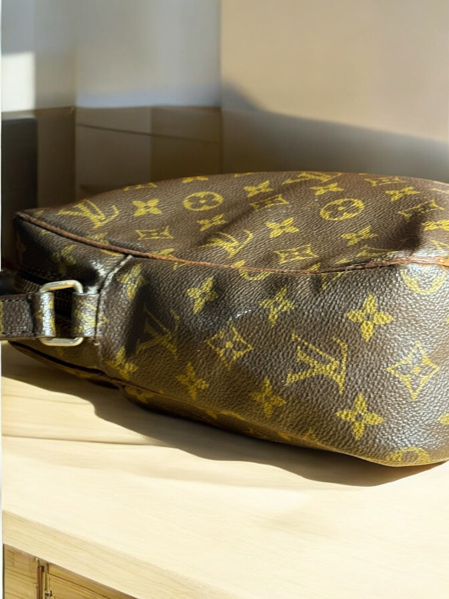 LOUIS VUITTON MONOGRAM DANUBE SHOULDER BAG M45266 AUTHENTIC