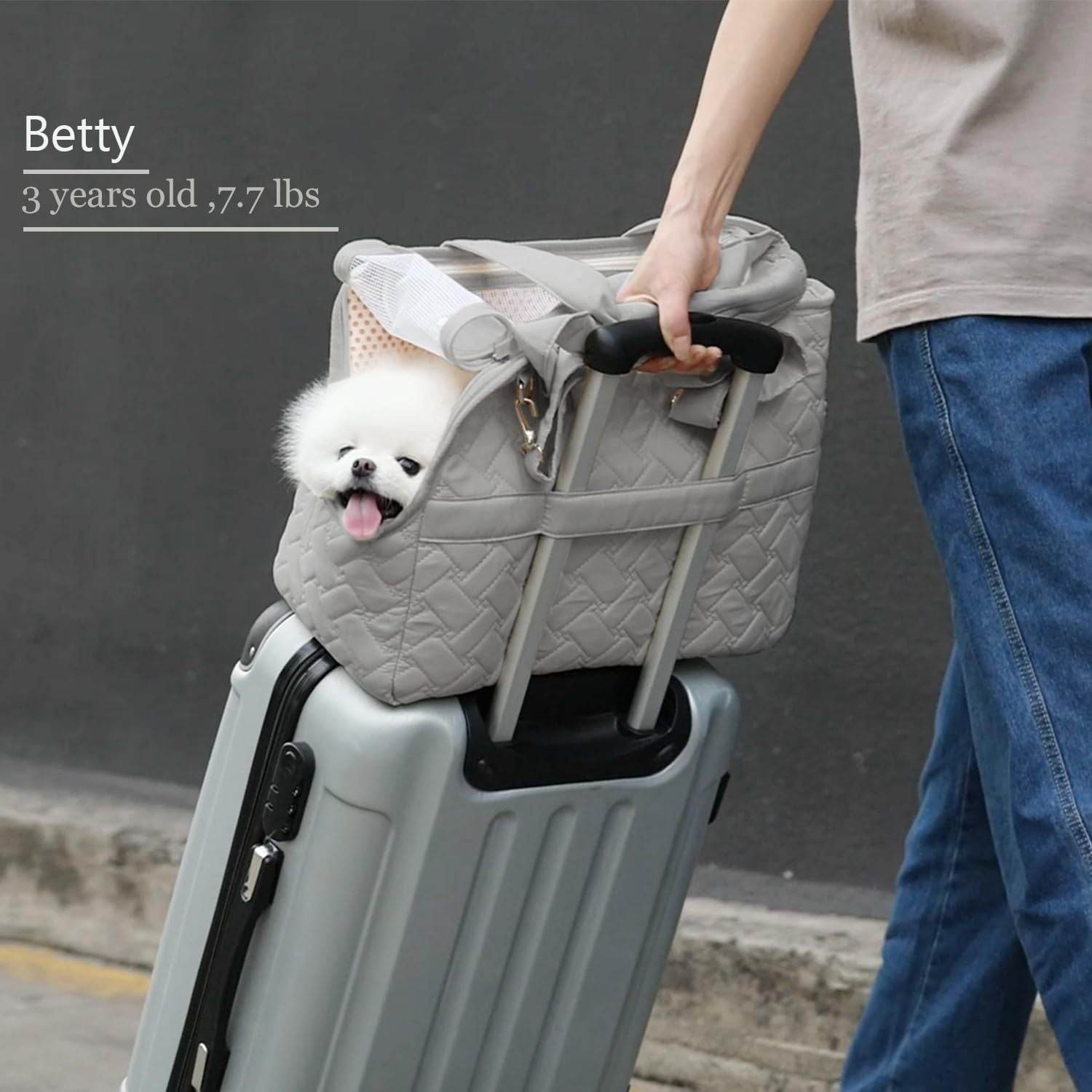 Cat Carrier Small Dog Handbag Cat Puppy Carrier Bag Large Cat With Multiple Pockets Breathable Mesh Soft Cushion Traveling Pets Tote Purse Picnic Outdoor - Luxbrandz